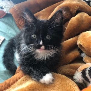 Meet your Posher, Vi